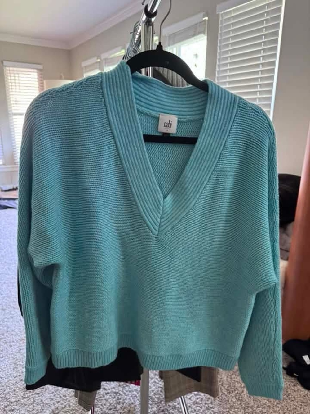 CAbi Aqua V-Neck Sweater - Relaxed Knit